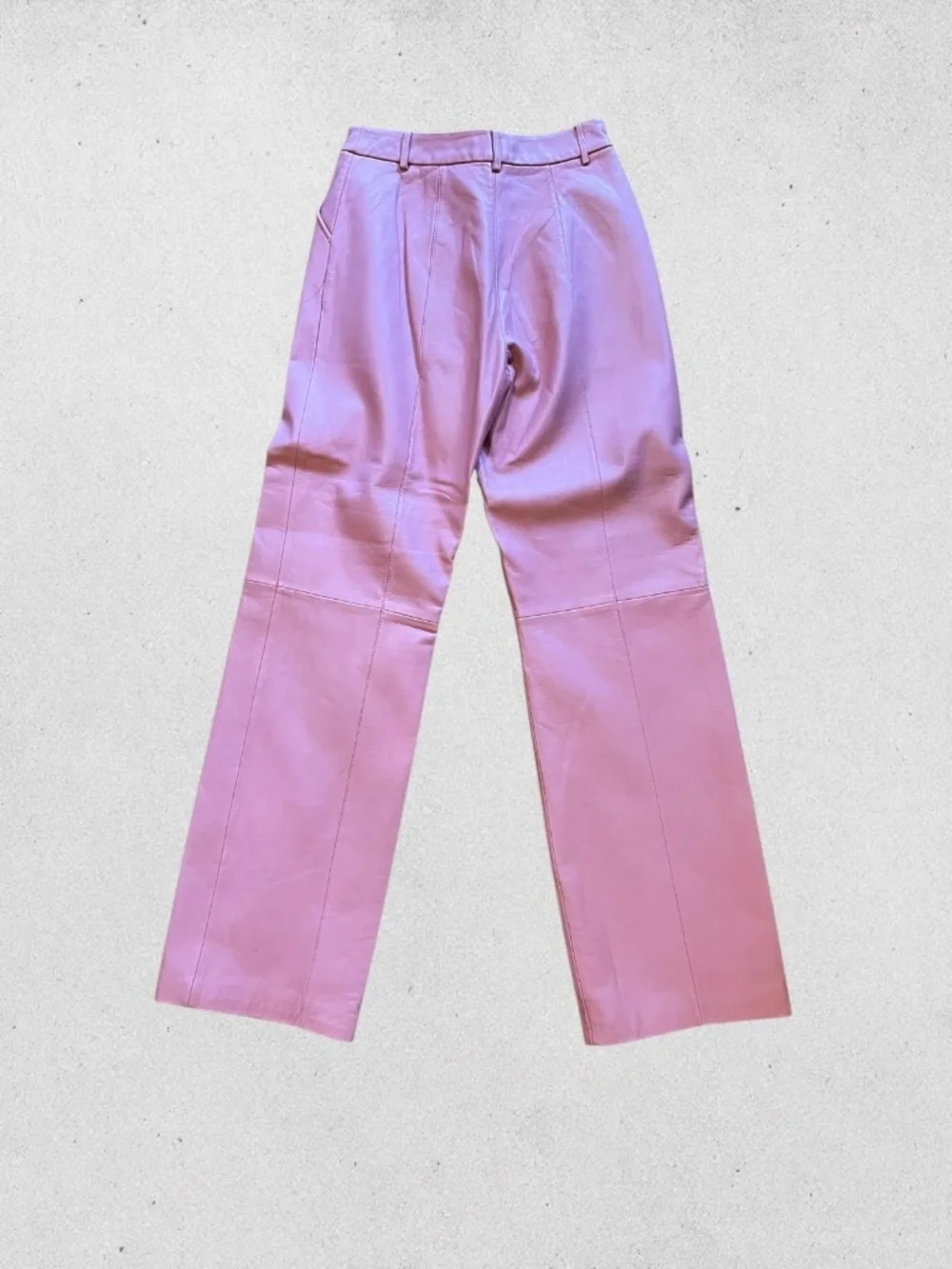 Ena Pelly Danielle Mauve Leather Pants Wide Leg High Rise NWT Size 4 Minimalist